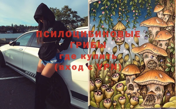 шишки Баксан