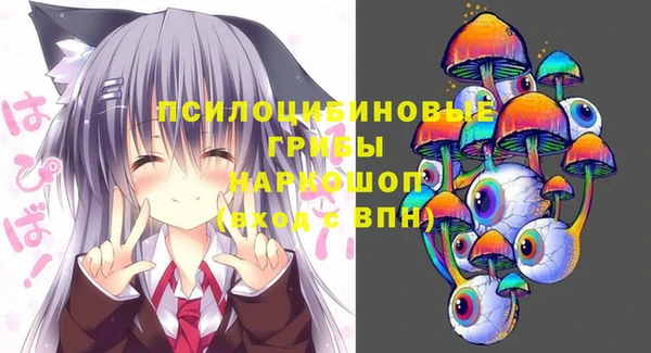 шишки Баксан