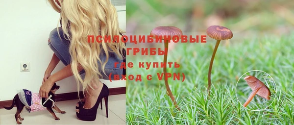 стаф Беломорск