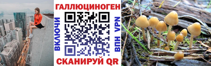 Псилоцибиновые грибы мицелий  omg ссылка  Нововоронеж  наркотики 