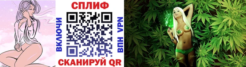 Каннабис планчик  где можно купить   ссылка на мегу ССЫЛКА  Нововоронеж 